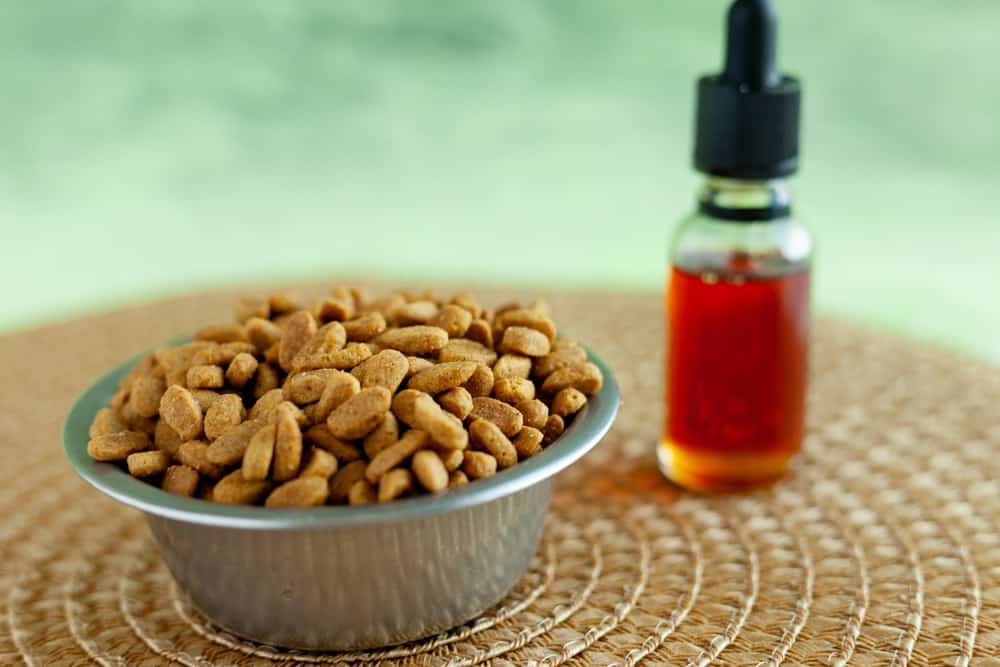 Do's and Don’ts Related to Pet CBD! Pet Resources